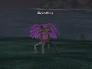 Die