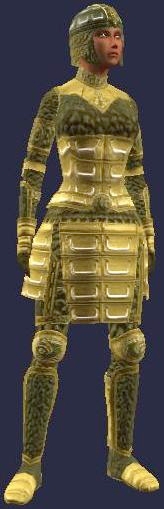 Elder's Armor (female)