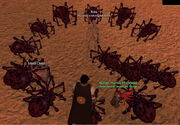Deathsilk spider2