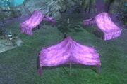 Incantatory Apex Camp