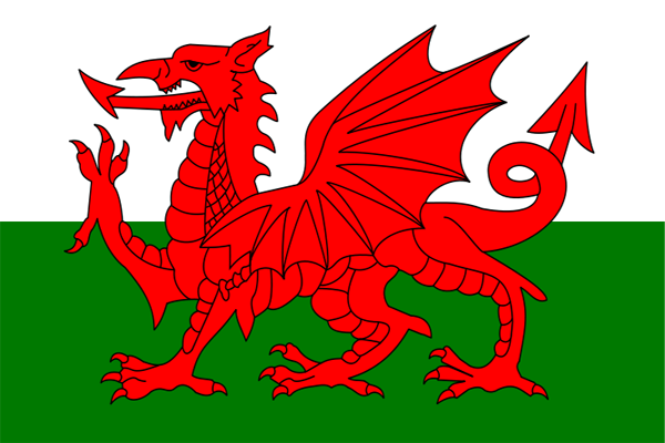 Image result for wales flag