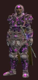 Days-of-summar-armor-set-full