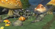 Tunare's Grove