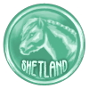 Shetland Coin
