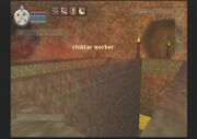 Chiktar Hive inside