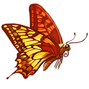 Compagnon-papillon