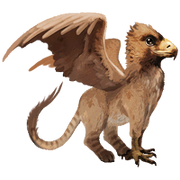 Compagnon-griffon