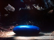 180px-Drageegg