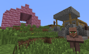 Pink temple