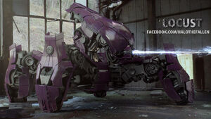 Locust