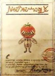 Tomate Perdido3