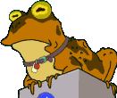 Sapo hipnotico