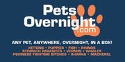 Petsovernight