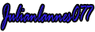 Julianlannes077Firma