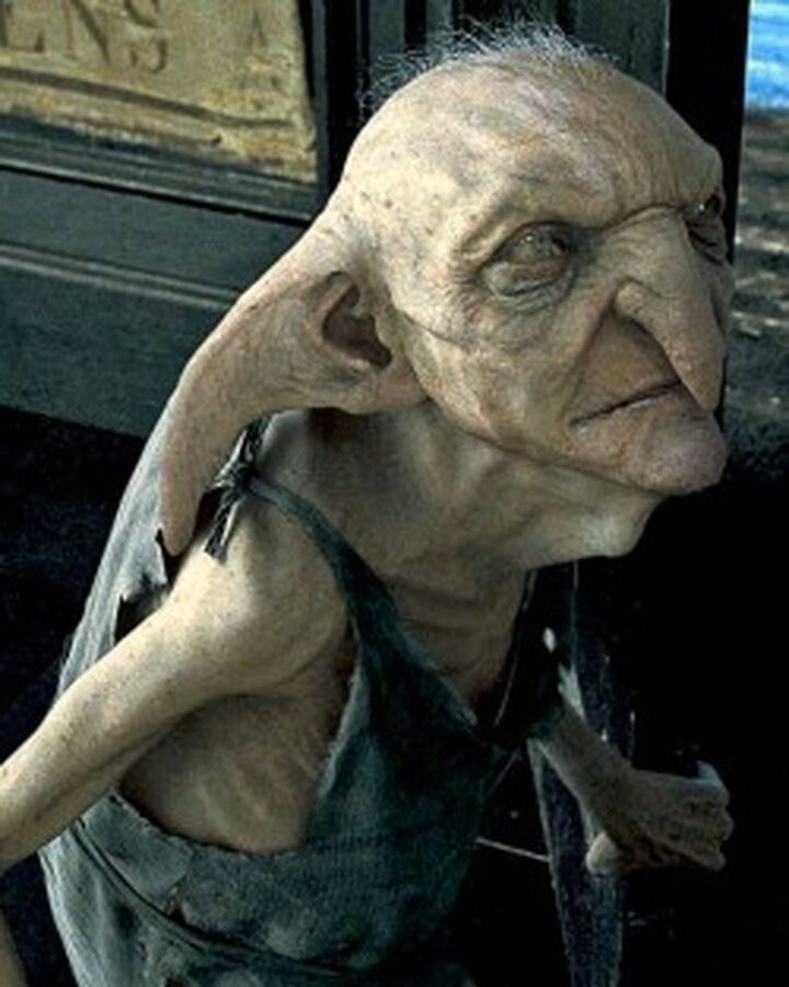 Elfo Domestico Harry Potter Wiki Fandom