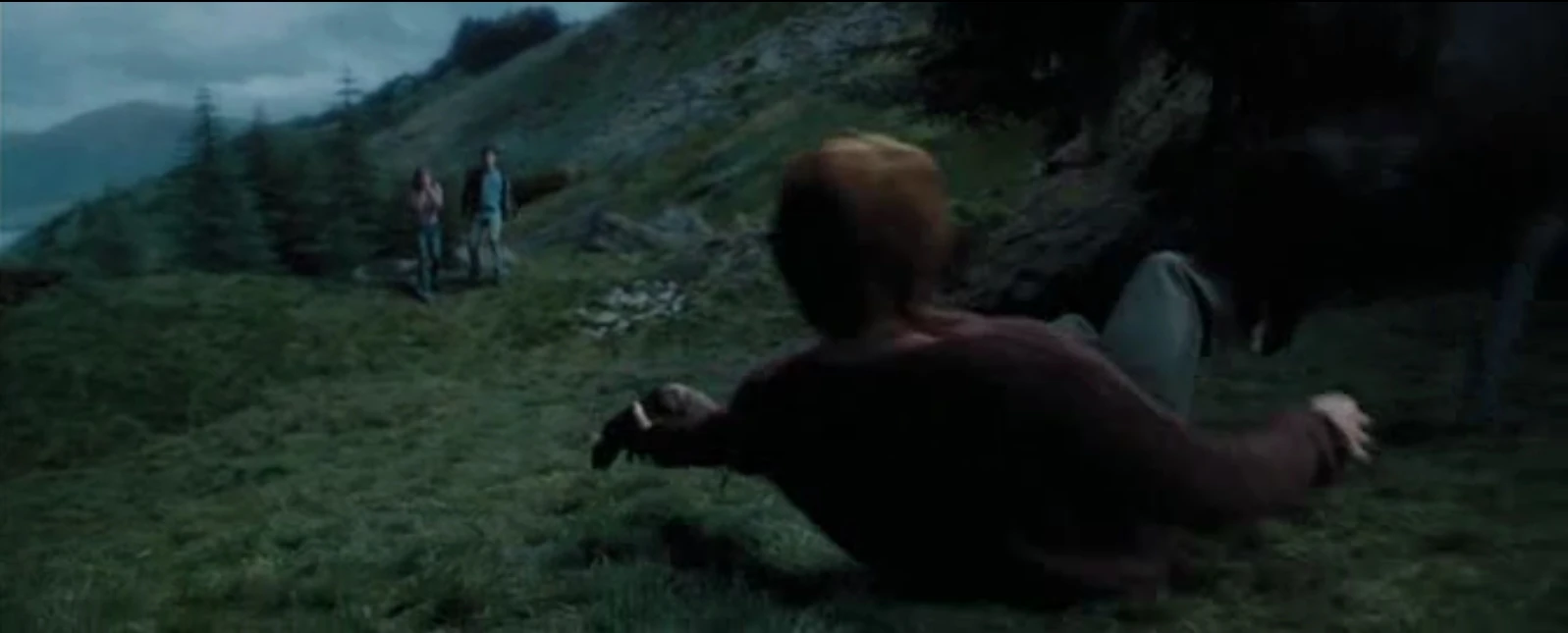 Camino hacia el Sauce Boxeador Harry Potter Wiki Fandom