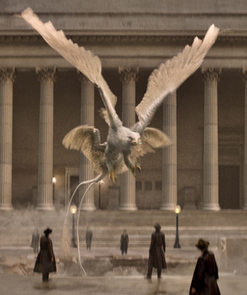 Frank Harry Potter Wiki FANDOM powered by Wikia