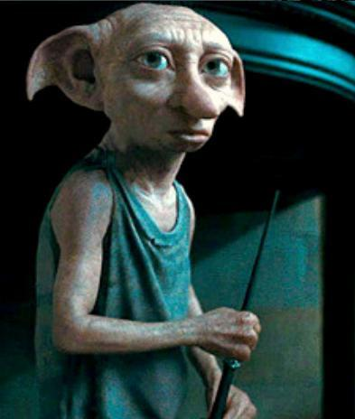 Dobby Harry Potter Wiki Fandom