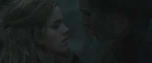 Scabior interrogating Hermione