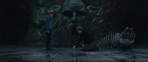 Ron and Hermione in the Chamber of secret