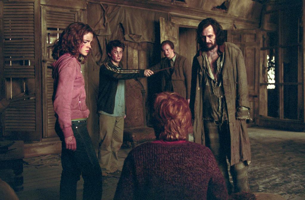 Sirius Black Harry Potter Wiki Fandom