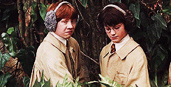 Harry y Ron extrayendo raíz de mandrágora