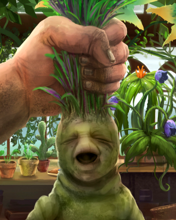 Mandragora Harry Potter Wiki Fandom