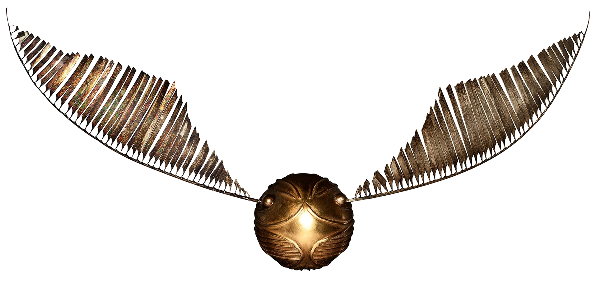 bolita con alas de harry potter