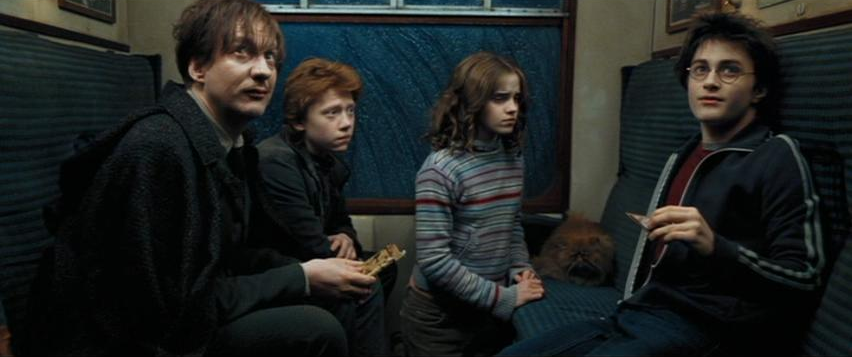 Crookshanks | Harry Potter Wiki | FANDOM powered by Wikia