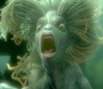 Selkies Resultado de imagen para selkies harry potter