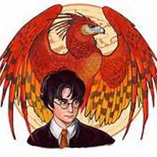 Fawkes Harry Potter Wiki Fandom