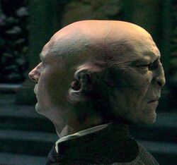 quirrell voldemort harrypotter quirinus