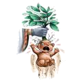 Mandrake HP2