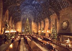 P2 Navidad Hogwarts 1992