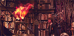 P2 Fawkes muere