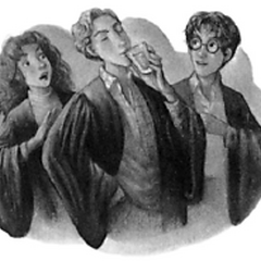 Harry Potter y el misterio del príncipe | Harry Potter Wiki | FANDOM