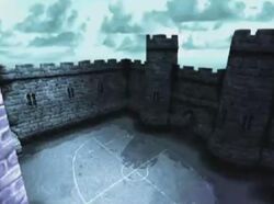 Quidditch Training Pitch2