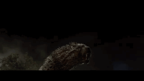 Nundu | Harry Potter Wiki | FANDOM powered by Wikia