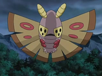 EP542 Dustox de Austin