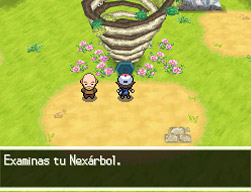 Nexárbol