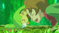 EP678 Sewaddle con Camus