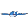 Kyogre XY