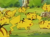 EP039 Manada de Pikachu (2)