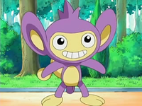 EP524 Aipom de Ash