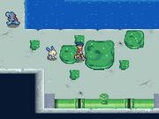 Pokémon Ranger Lodo de los Grimer