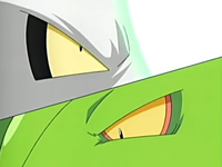 EP441 Shiftry y Sceptile (2)