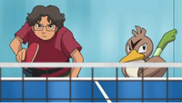 EP593 Farfetch'd junto a Wilkinson