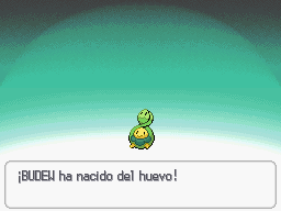 Nacimiento de Budew en DP