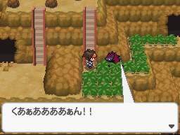 Zoroark de N CalleVictoria N2B2