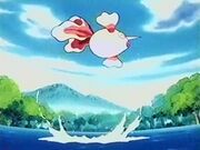 EP112 Goldeen de Misty despues de ganar una batalla